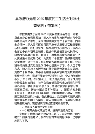 县政府办党组2025年度民主生活会对照检查材料（带案例）
