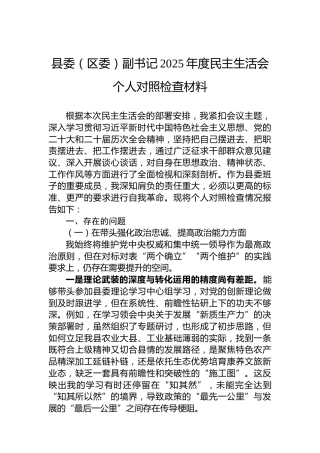 县委（区委）副书记2025年度民主生活会个人对照检查材料