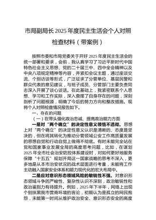 市局副局长2025年度民主生活会个人对照检查材料（带案例）