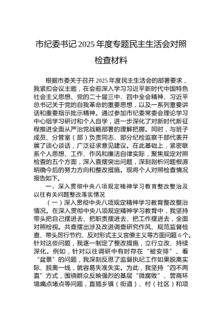 市纪委书记2025年度专题民主生活会对照检查材料