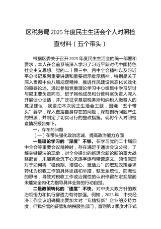 区税务局2025年度民主生活会个人对照检查材料（五个带头）