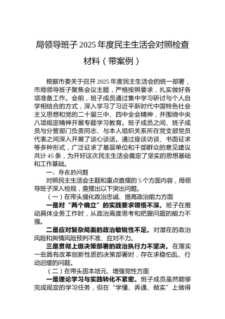 局领导班子2025年度民主生活会对照检查材料（带案例）