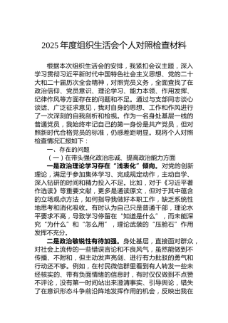 2025年度组织生活会个人对照检查材料