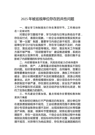 2025年被巡视单位存在的共性问题
