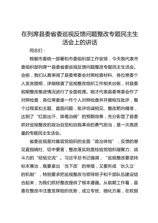 在列席县委省委巡视反馈问题整改专题民主生活会上的讲话