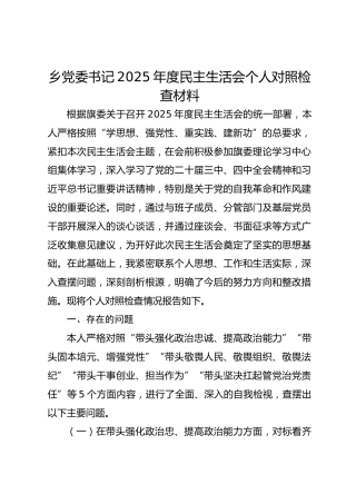 乡镇党委书记2025年度民主生活会个人对照检查材料