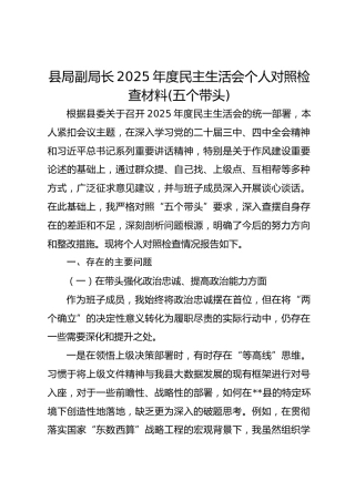 副局长2025年度民主生活会个人对照材料(五个带头)