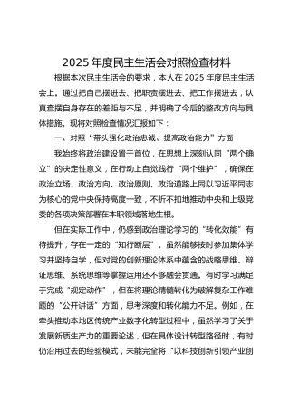 2025年度民主生活会对照检查材料
