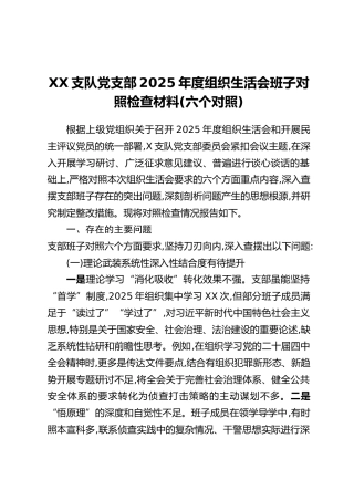 XX支队党支部2025年度组织生活会班子对照检查材料（六个对照）