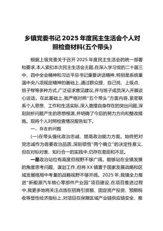 乡镇党委书记2025年度民主生活会个人对照检查材料（五个带头）