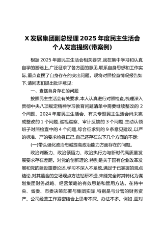 X发展集团副总经理2025年度民主生活会个人发言提纲（带案例）