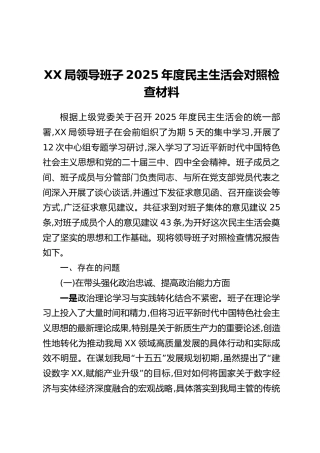 XX局领导班子2025年度民主生活会对照检查材料