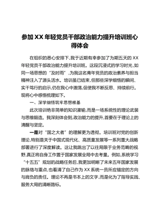 参加XX年轻党员干部政治能力提升培训班心得体会