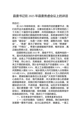 县委书记在2025年县委务虚会议上的讲话