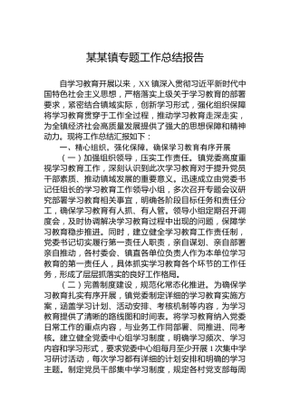 某某镇专题工作总结报告