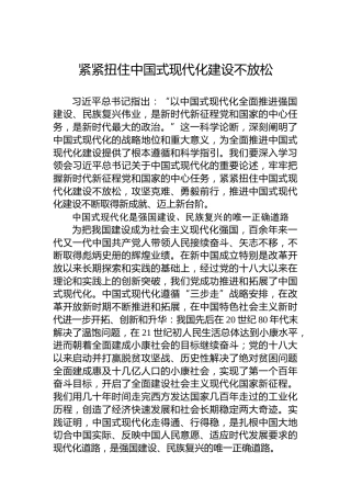 紧紧扭住中国式现代化建设不放松