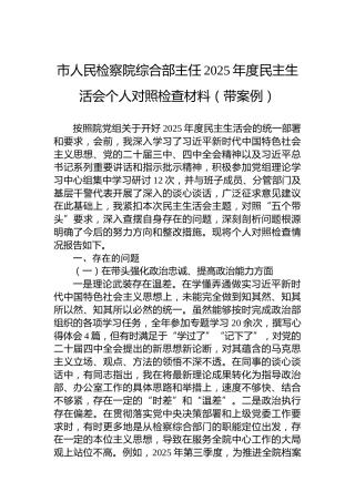 市人民检察院综合部主任2025年度民主生活会个人对照检查材料（带案例）
