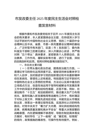 市发改委主任2025年度民主生活会对照检查发言材料