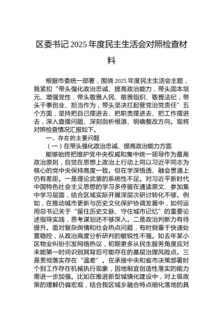区委书记2025年度民主生活会对照检查材料
