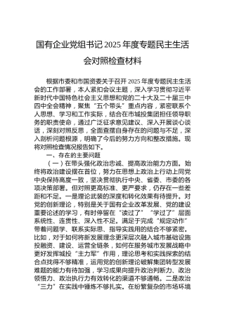国有企业党组书记2025年度专题民主生活会对照检查材料