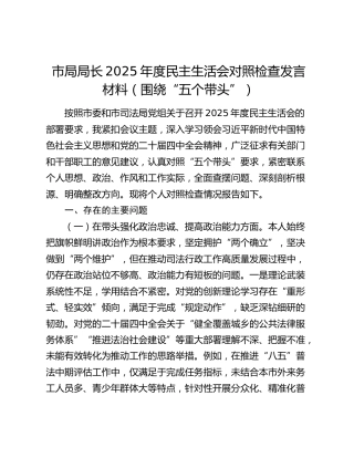 市局局长2025年度民主生活会对照检查发言材料（围绕“五个带头”）