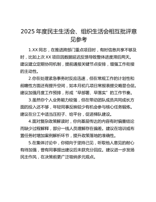 2025年度民主生活会、组织生活会相互批评意见参考