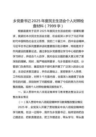 乡党委书记2025年度民主生活会个人对照检查材料（7999字）