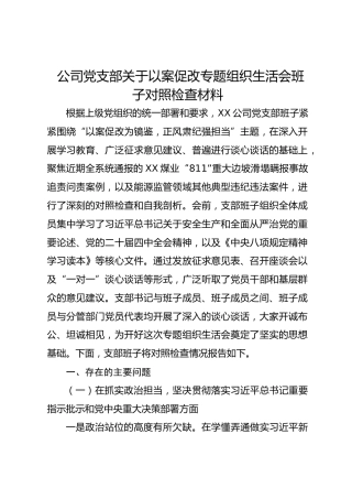 国企党支部以案促改专题组织生活会班子对照检查材料