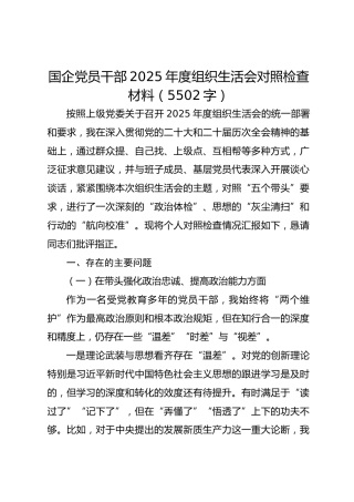 国企党员干部2025年度组织生活会对照检查材料（5502字）