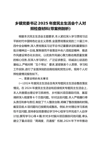 乡镇党委书记2025年度民主生活会个人对照检查材料(带案例剖析)