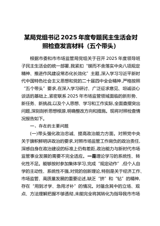 某局党组书记2025年度专题民主生活会对照检查发言材料（五个带头）