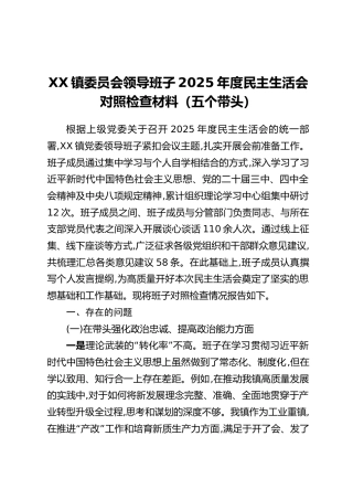 XX镇委员会领导班子2025年度民主生活会对照检查材料（五个带头）