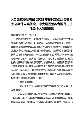 XX镇党委副书记2025年度民主生活会暨蓝天立案件以案促改、中央巡视整改专题民主生活会个人发言提纲