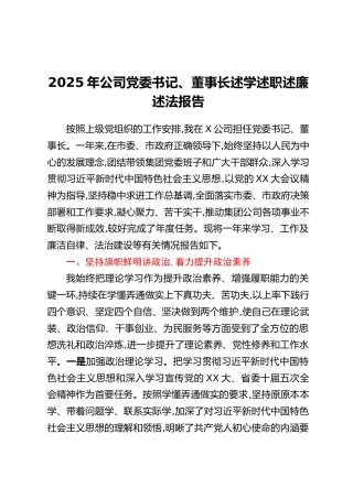 2025年公司党委书记、董事长述学述职述廉述法报告
