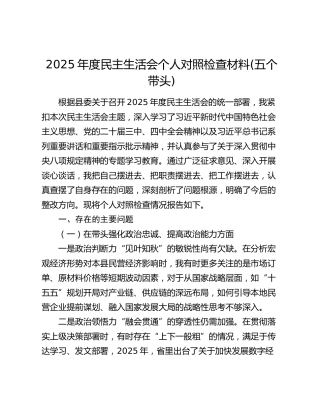 2025年度民主生活会个人对照检查材料(五个带头)（5）