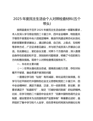 2025年度民主生活会个人对照检查材料(五个带头)（4）
