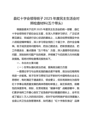 县红十字会领导班子2025年度民主生活会对照检查材料(五个带头)