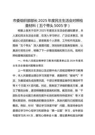 市委组织部部长2025年度民主生活会对照检查材料（五个带头5005字）