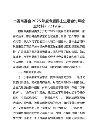 市委常委会2025年度专题民主生活会对照检查材料（7219字）