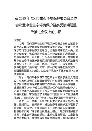 在2025年XX市生态环境保护委员会全体会议暨中省生态环境保护督察反馈问题整改推进会议上的讲话