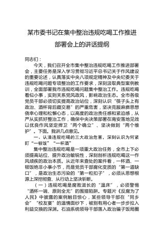 某市委书记在集中整治违规吃喝工作推进部署会上的讲话提纲