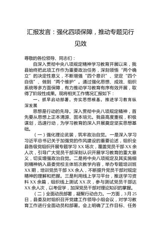 汇报发言：强化四项保障，推动专题见行见效