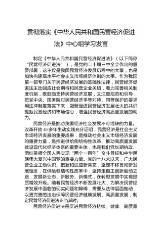 贯彻落实《中华人民共和国民营经济促进法》中心组学习发言