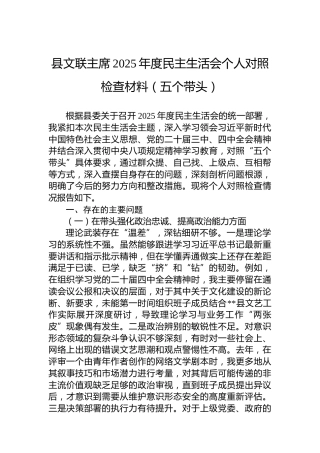 县文联主席2025年度民主生活会个人对照检查材料（五个带头）