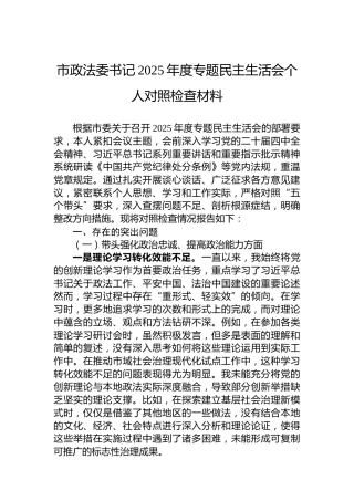 市政法委书记2025年度专题民主生活会个人对照检查材料