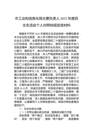 市工业和信息化局主要负责人2025年度民主生活会个人对照检视发言材料
