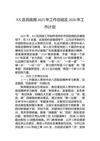 XX区民政局2025年工作总结及2026年工作计划