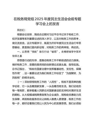 在税务局党组2025年度民主生活会会前专题学习会上的发言