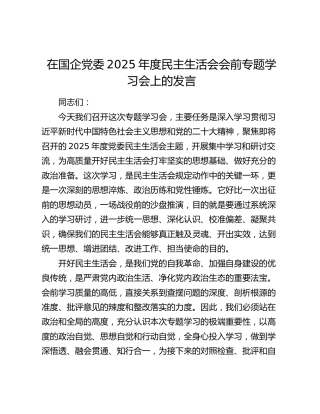 在国企党委2025年度民主生活会会前专题学习会上的发言