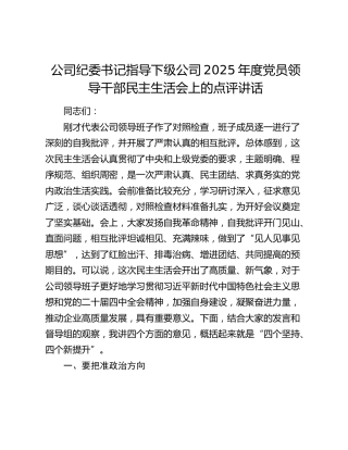 公司纪委书记指导下级公司2025年度党员领导干部民主生活会上的点评讲话